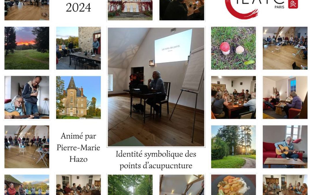 Architecture et symbolique des points d&rsquo;acupuncture