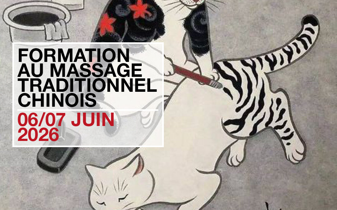 Formation au Massage Traditionnel Chinois