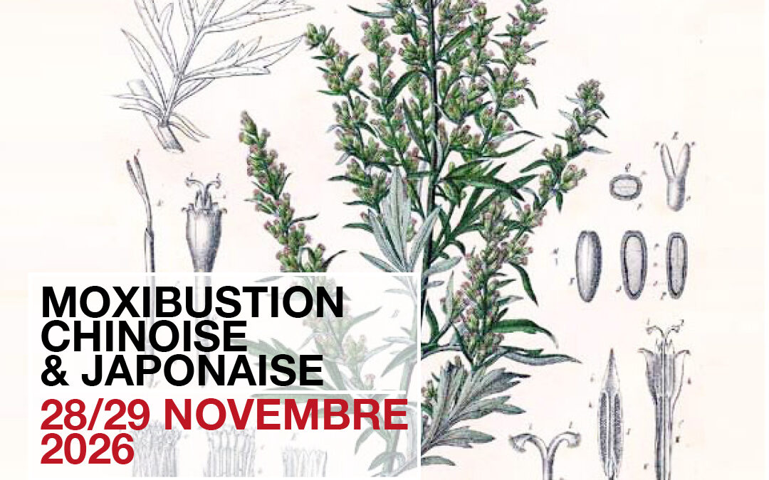 Moxibustion Chinoise et Japonaise