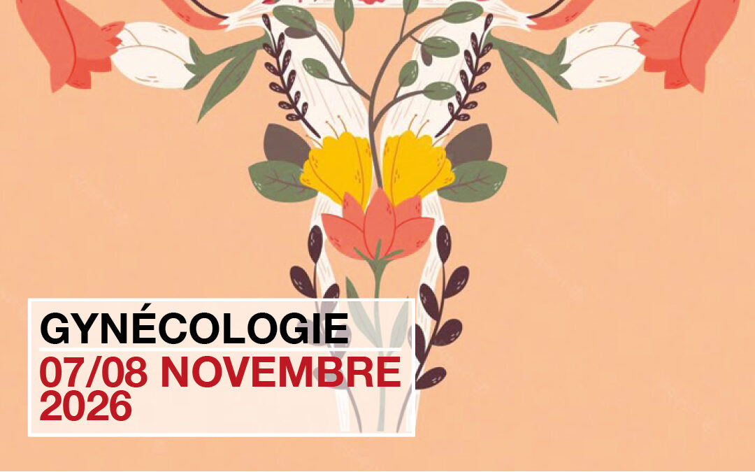 Formation Gynécologie énergétique